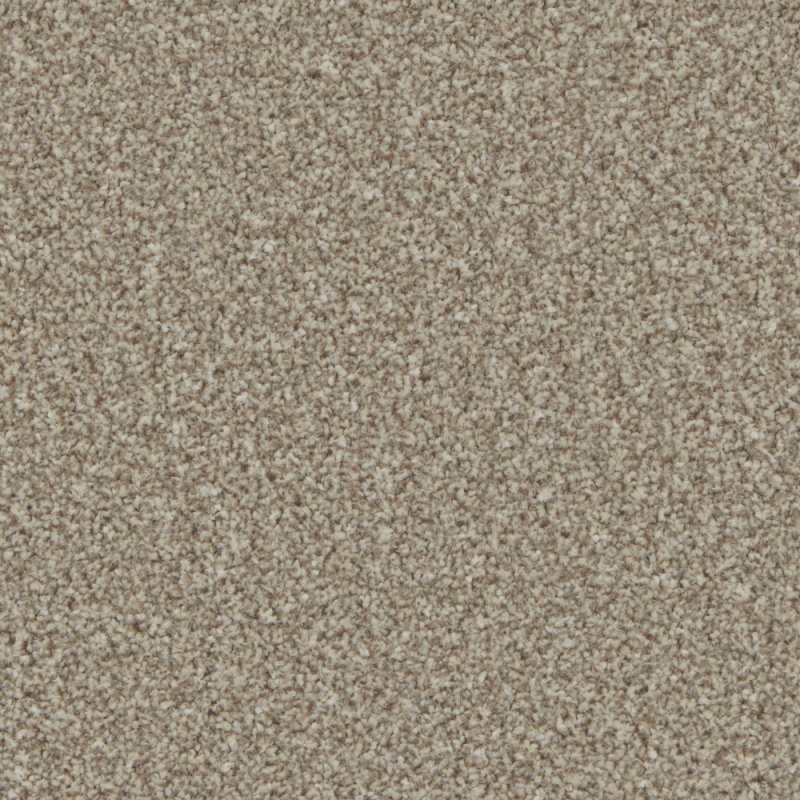 Norfolk & Co. Carpets Trentino Elite Carpet in Pale Oak