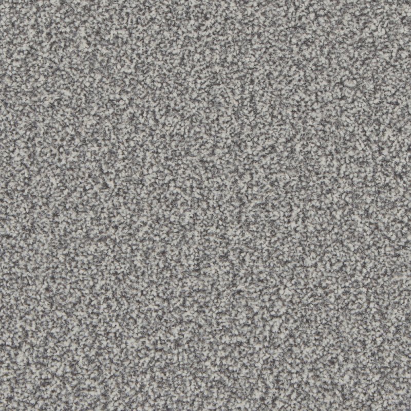 Norfolk & Co. Carpets Trentino Elite Carpet in Silver Birch