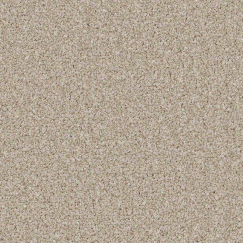 Norfolk & Co. Carpets Trentino Elite Carpet in Woodbrook