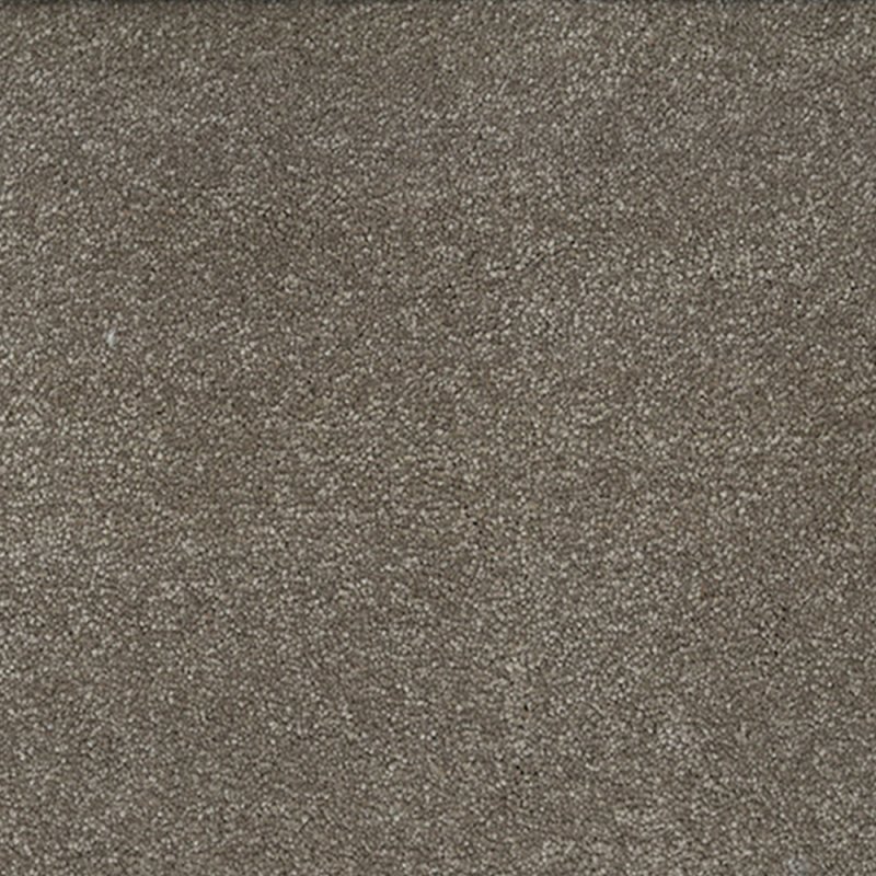 Hugh Mackay Camden Finesse Carpet in Taupe