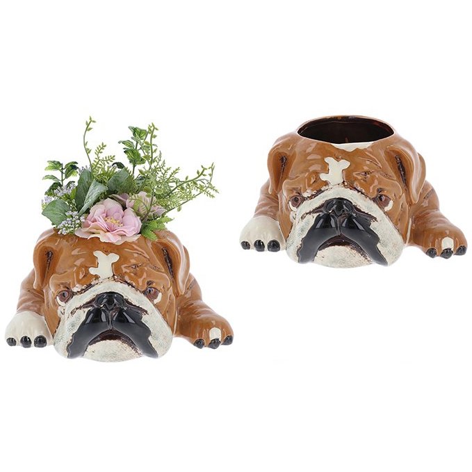 Shudehill Village Pottery Top Dog Bulldog Planter With and Without Plants