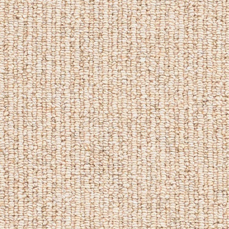 Cosy Rib Carpet In Home