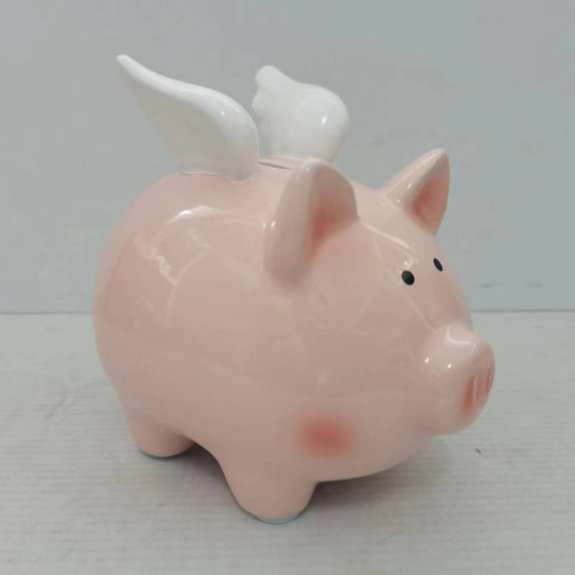 McGowan Rutherford Ceramic Flying Piggy Bank