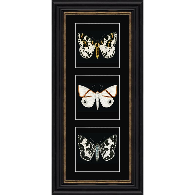 Artko White Butterflies
