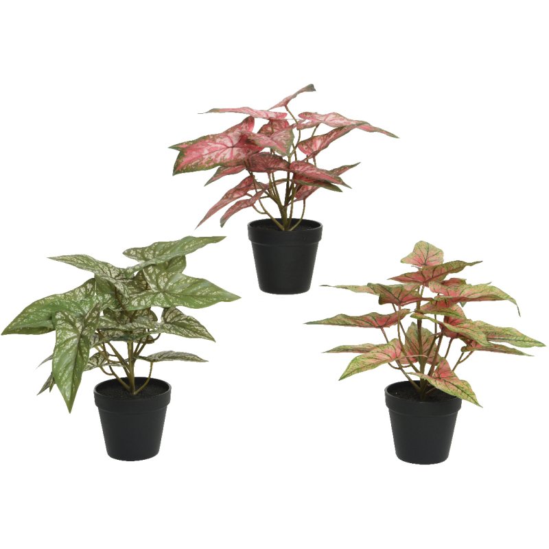 Kaemingk Kaemingk Faux Potted Plant