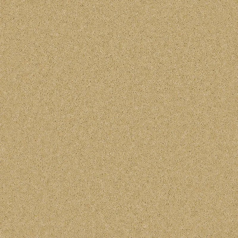 Furlong Timeless Classic Carpet in Classic Clay