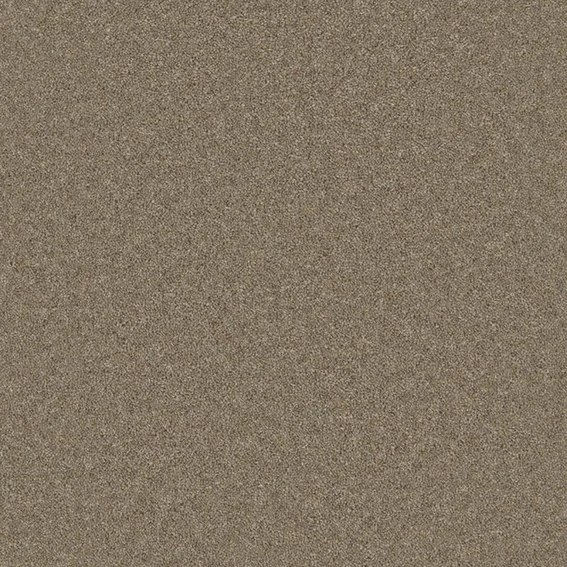 Furlong Timeless Classic Carpet in Dawlish Driftwood