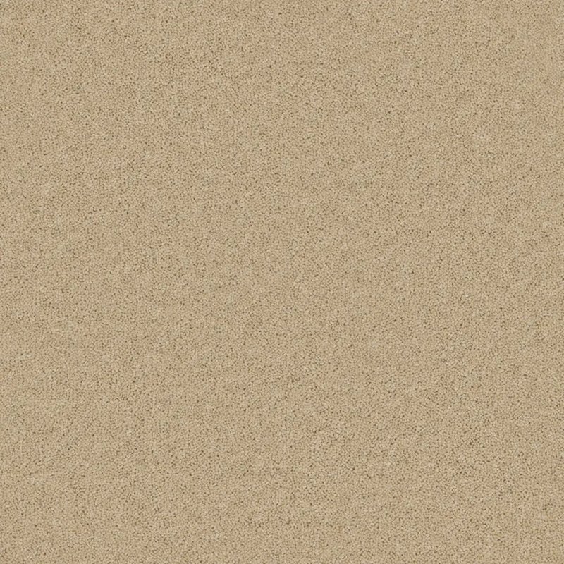 Furlong Timeless Classic Carpet in Light Lace