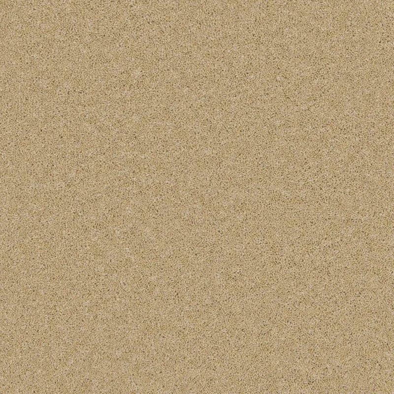 Furlong Timeless Classic Carpet in Sand Salt
