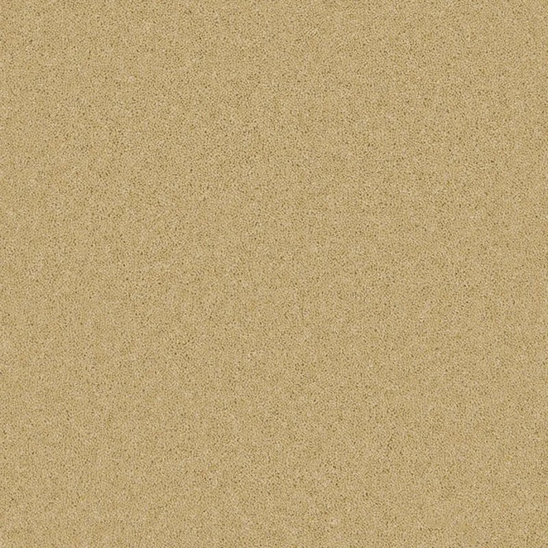 Timeless Deluxe Carpet In Classic Clay