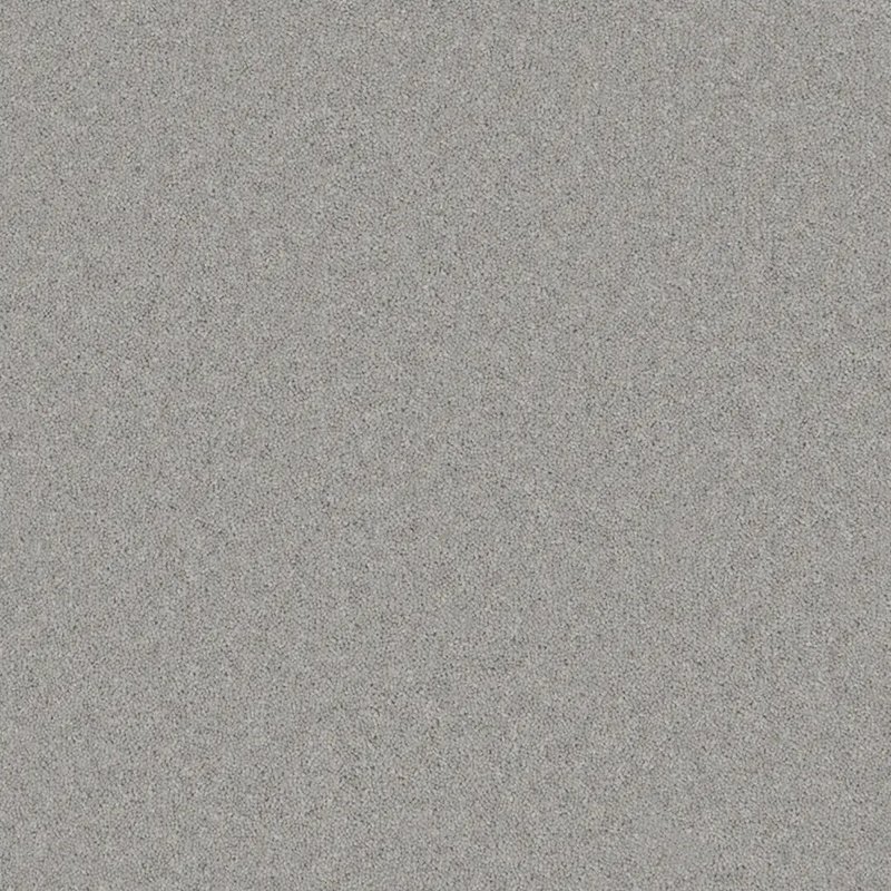 Timeless Deluxe Carpet In Cool Chrome