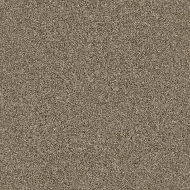 Timeless Deluxe Carpet In Dawlish Driftwood