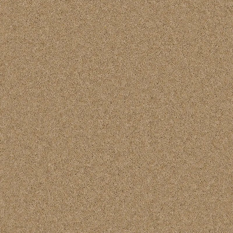 Timeless Deluxe Carpet In Hessian Hue