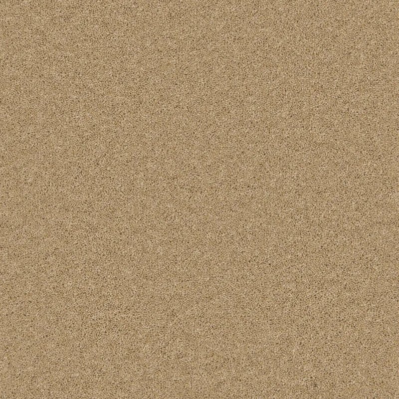 Timeless Deluxe Carpet In Mild Malt