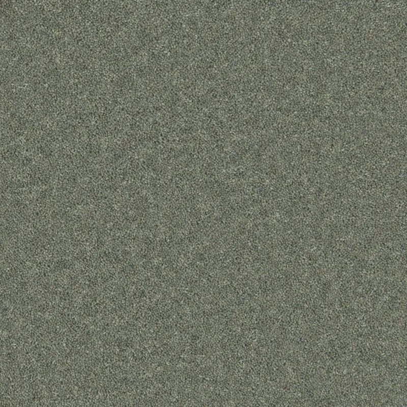 Timeless Deluxe Carpet In Soft Seaweed