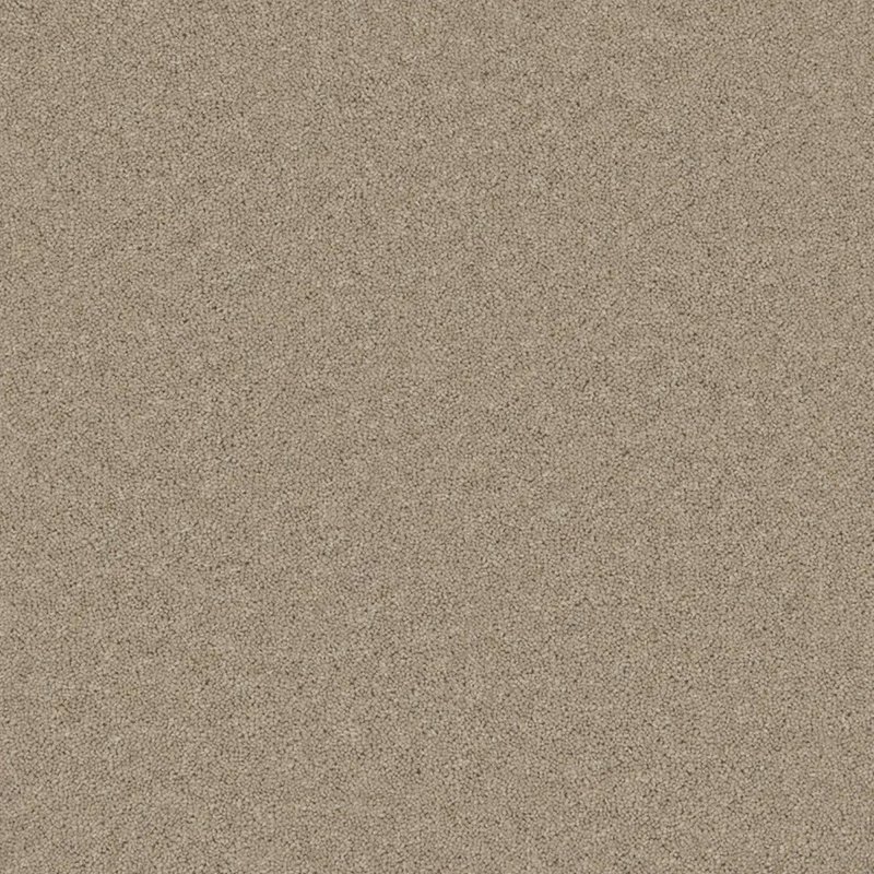 Timeless Deluxe Carpet In Tranquil Truffle