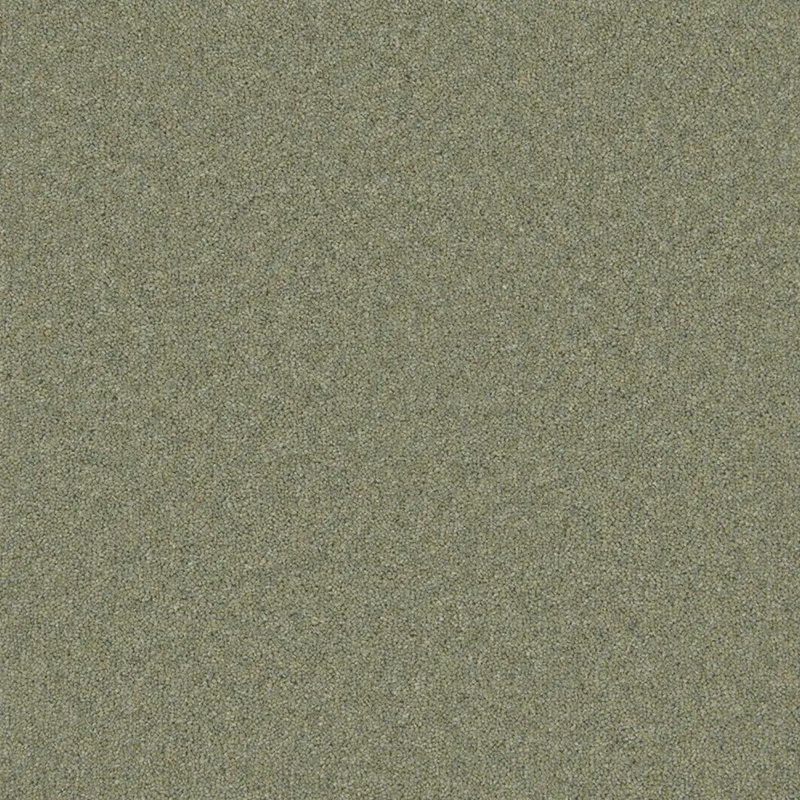 Timeless Deluxe Carpet In Wilting Willow