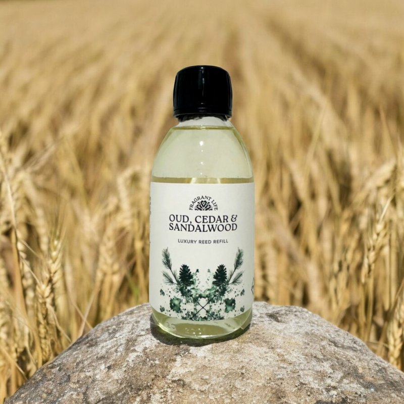 The Fragrance House Fragrant Life Oud, Cedar & Sandalwood Diffuser Refill