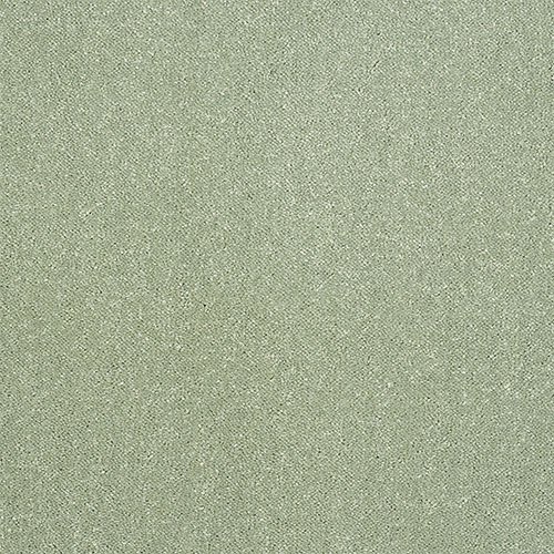 Abingdon Captivation Carpet in Putting Green