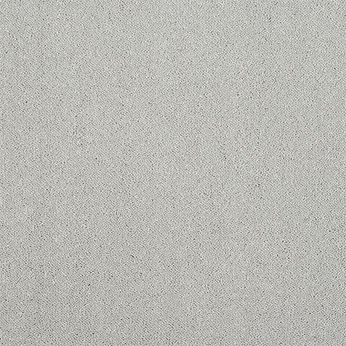 Abingdon Captivation Carpet in Tundra Frost