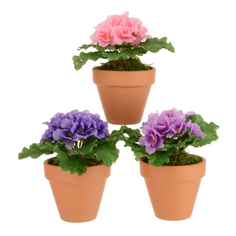 Floralsilk Assorted African Violets