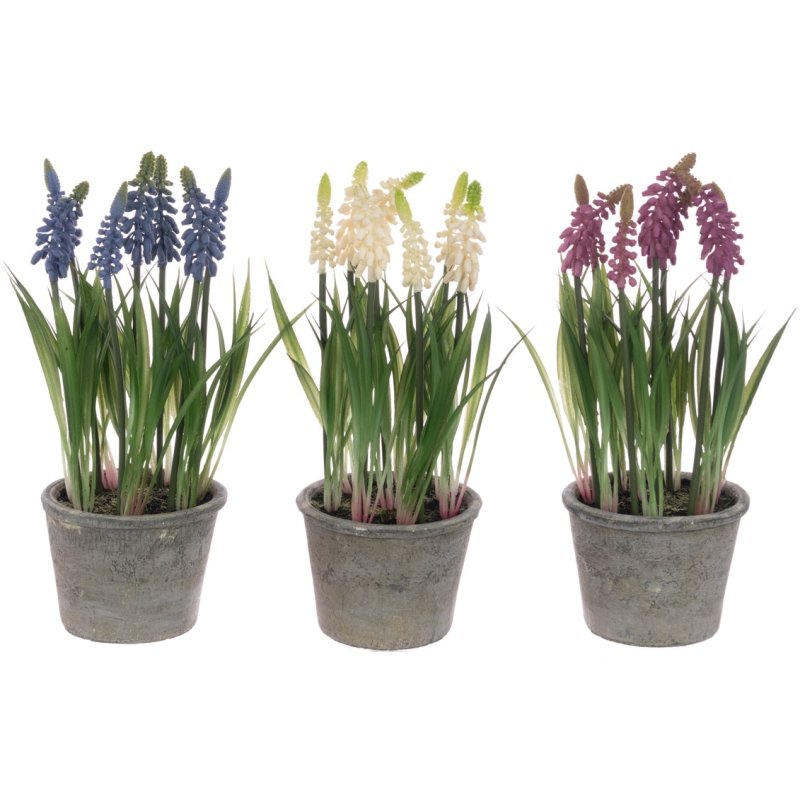 Floralsilk Grape Hyacinth In Pot Assorted