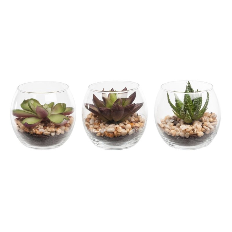 Floralsilk Succulents In Bubble Glass