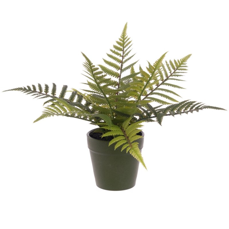 Floralsilk Fern In Plastic Pot
