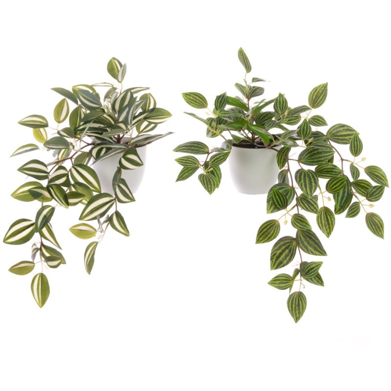 Floralsilk Assorted Greenery In Pot