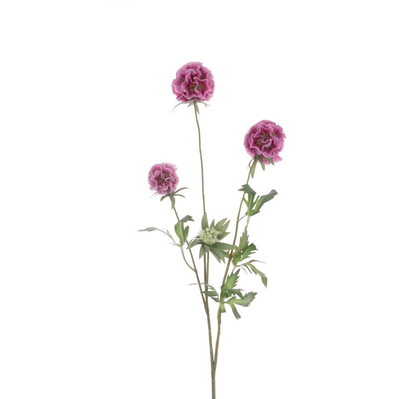 Floralsilk Pink Scabiosa Stellata Spray