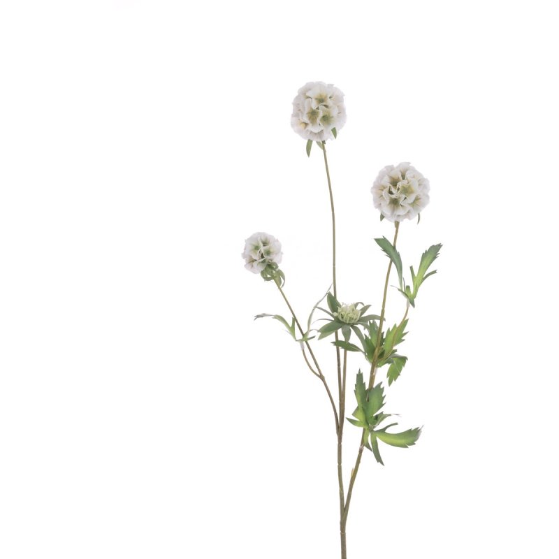 Floralsilk White Scabiosa Stellata Spray