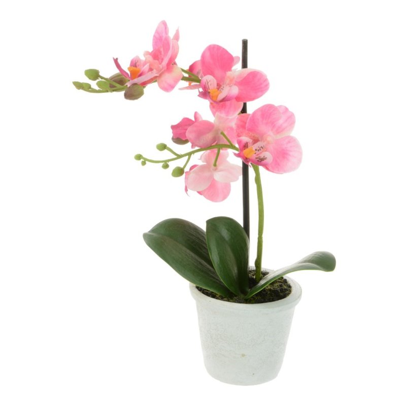 Floralsilk Phalaenopsis In Pot