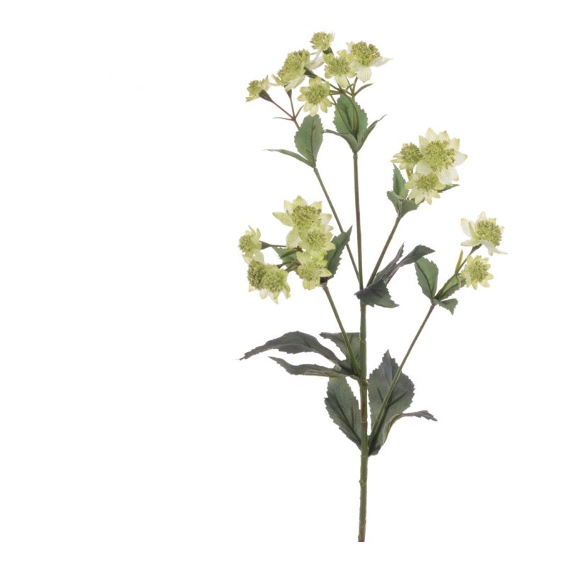 Floralsilk ECO Green Astrantia Spray