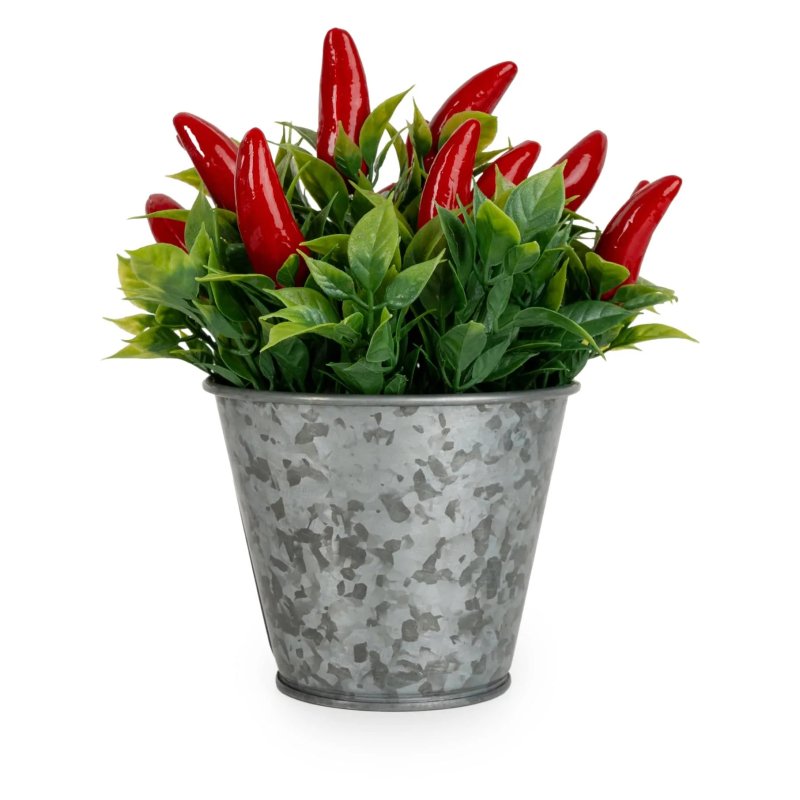 Candlelight Chilli Planter