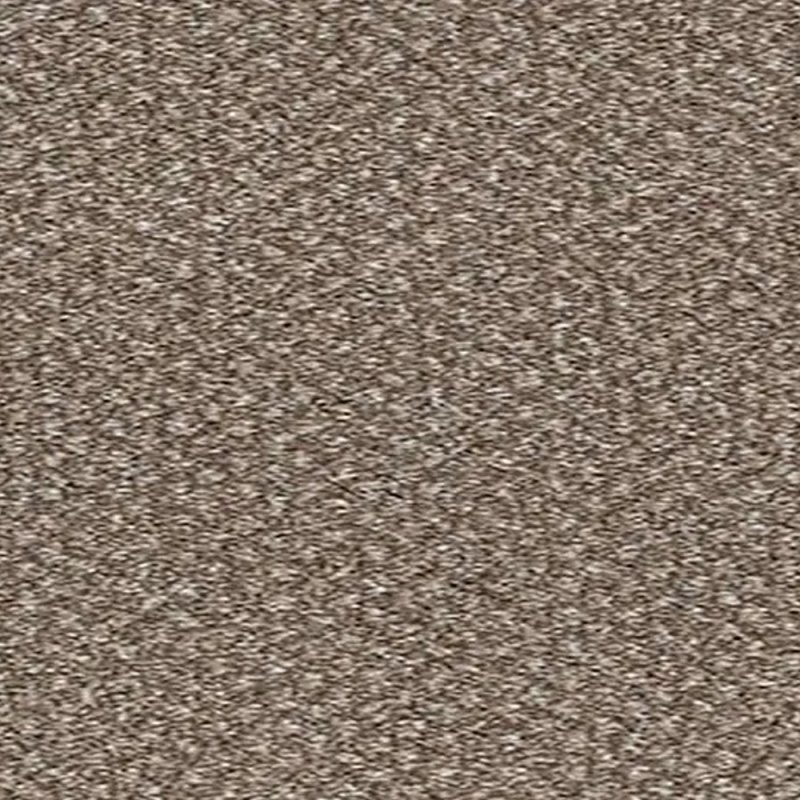 Norfolk New Wroxham Tweed Carpet in Moraine