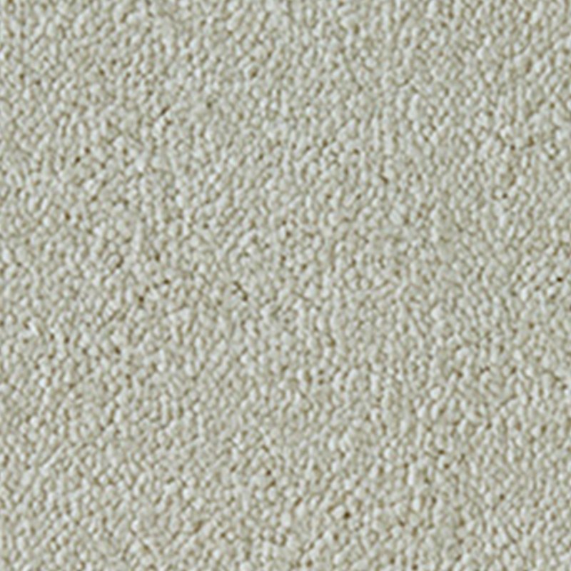 Westex Celestial Carpet in Abalone