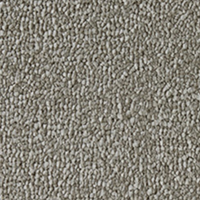 Westex Celestial Carpet in Kobicha