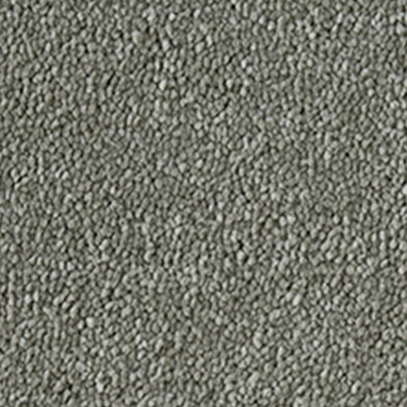 Westex Celestial Carpet in Mossy Stone