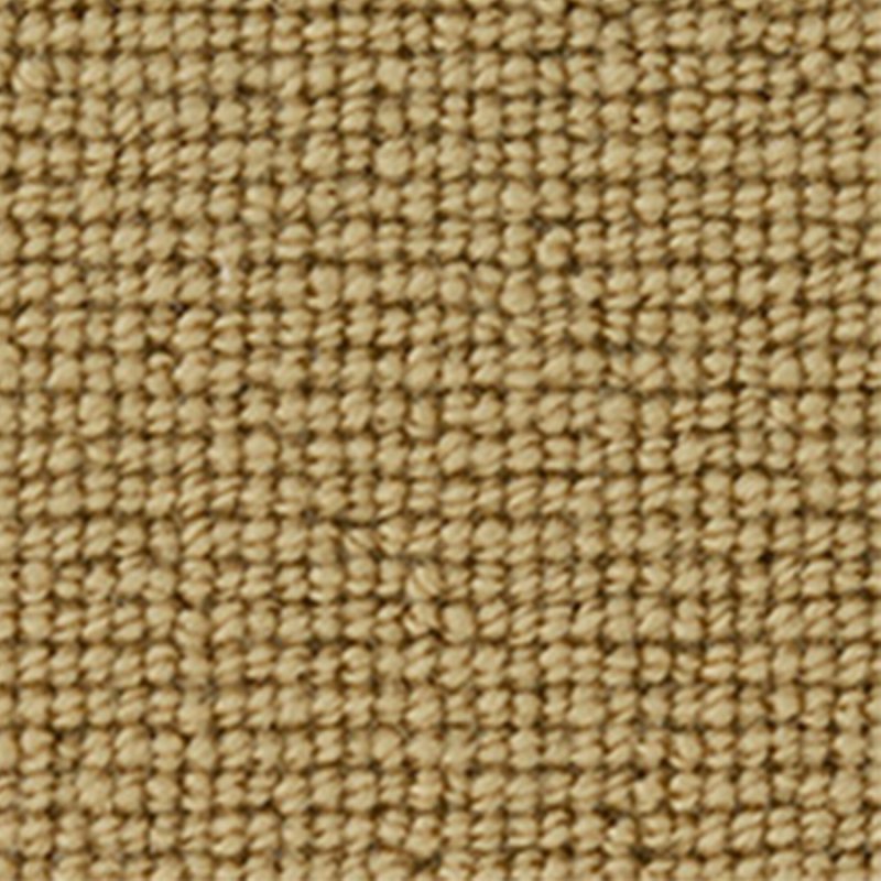 Westex Loxley Loop Carpet in Goldfinch