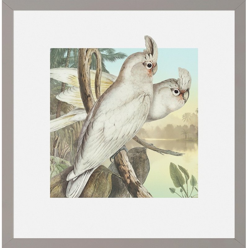 Camelot Camelot Tropical Perchers II Framed Print