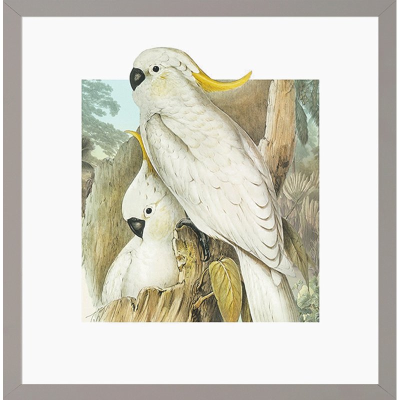 Camelot Camelot Tropical Perchers I Framed Print