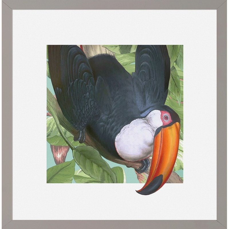 Camelot Camelot Tropical Perchers III Framed Print