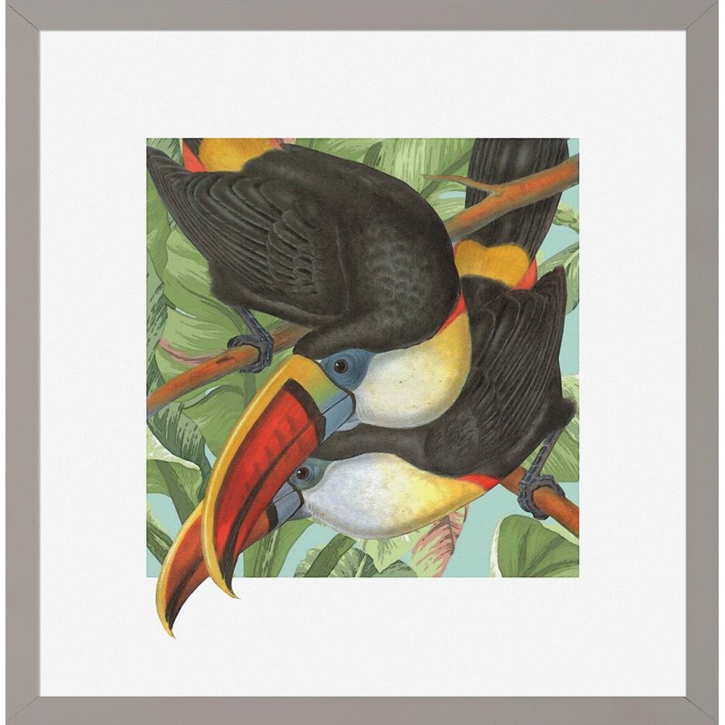 Camelot Camelot Tropical Perchers IV Framed Print