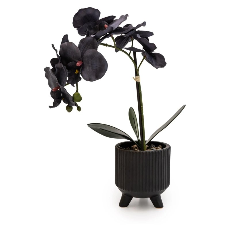 Candlelight Candlelight Faux Black Orchid in Matte Black Ceramic Footed Pot