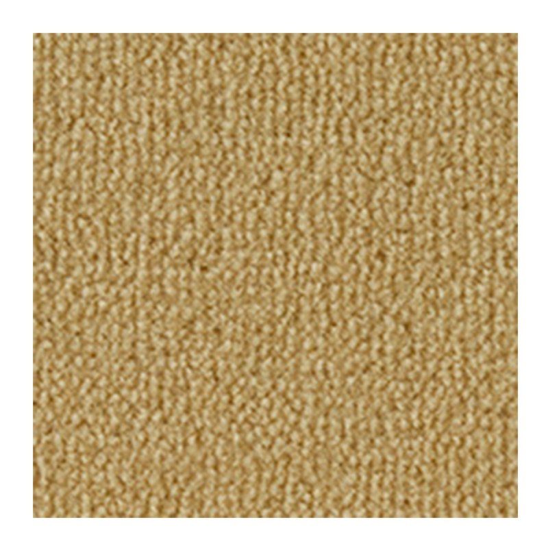 Westex Wiske Velvet Carpet in Goldfinch