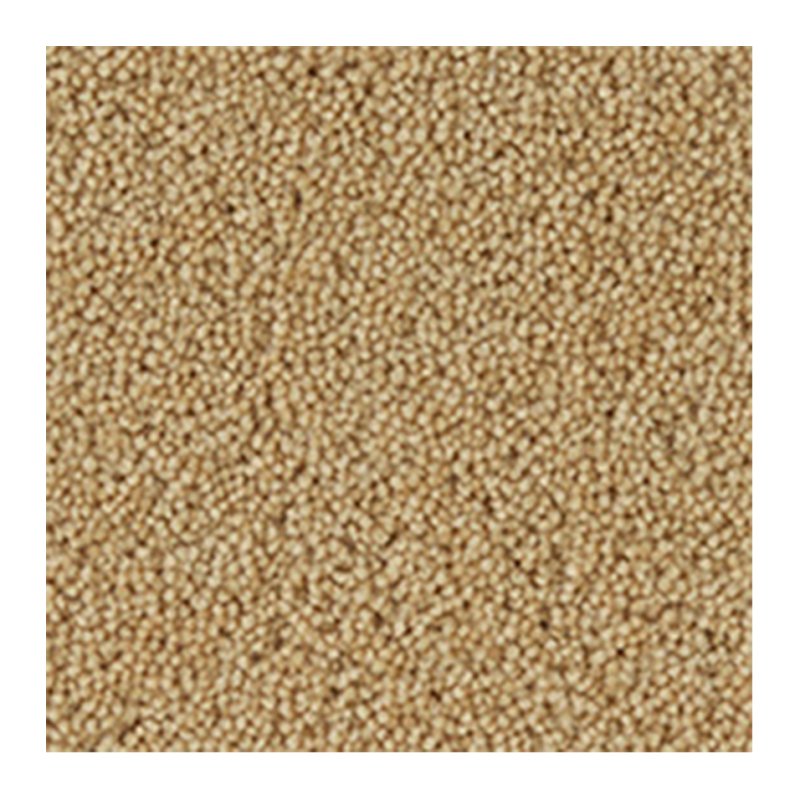 Westex Hebble Twist Carpet in Goldfinch