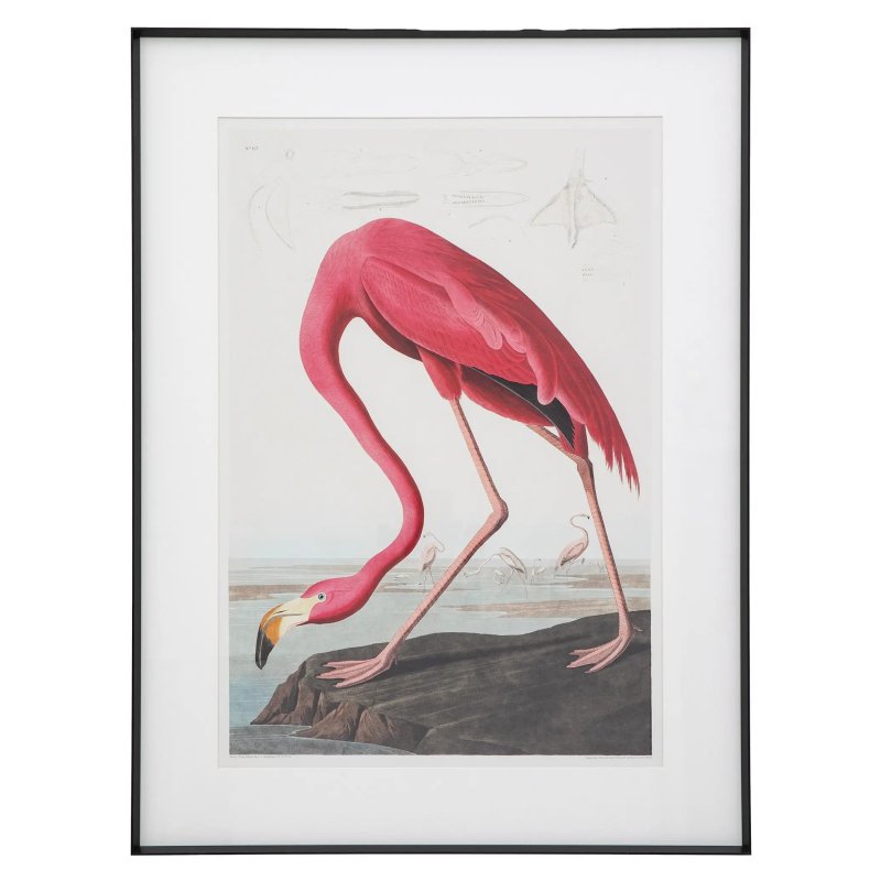 Gallery Direct Gallery Wading Flamingo Framed  Art