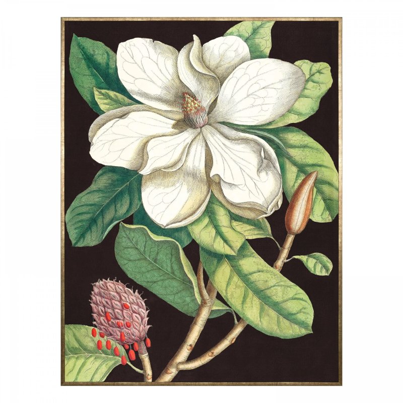 Gallery Direct Gallery Laurel Tree Framed Canvas