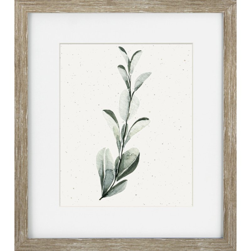 Camelot Soft Botanicals I