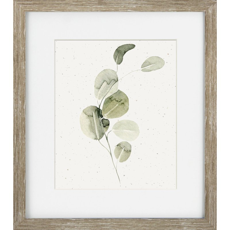 Camelot Soft Botanicals IV